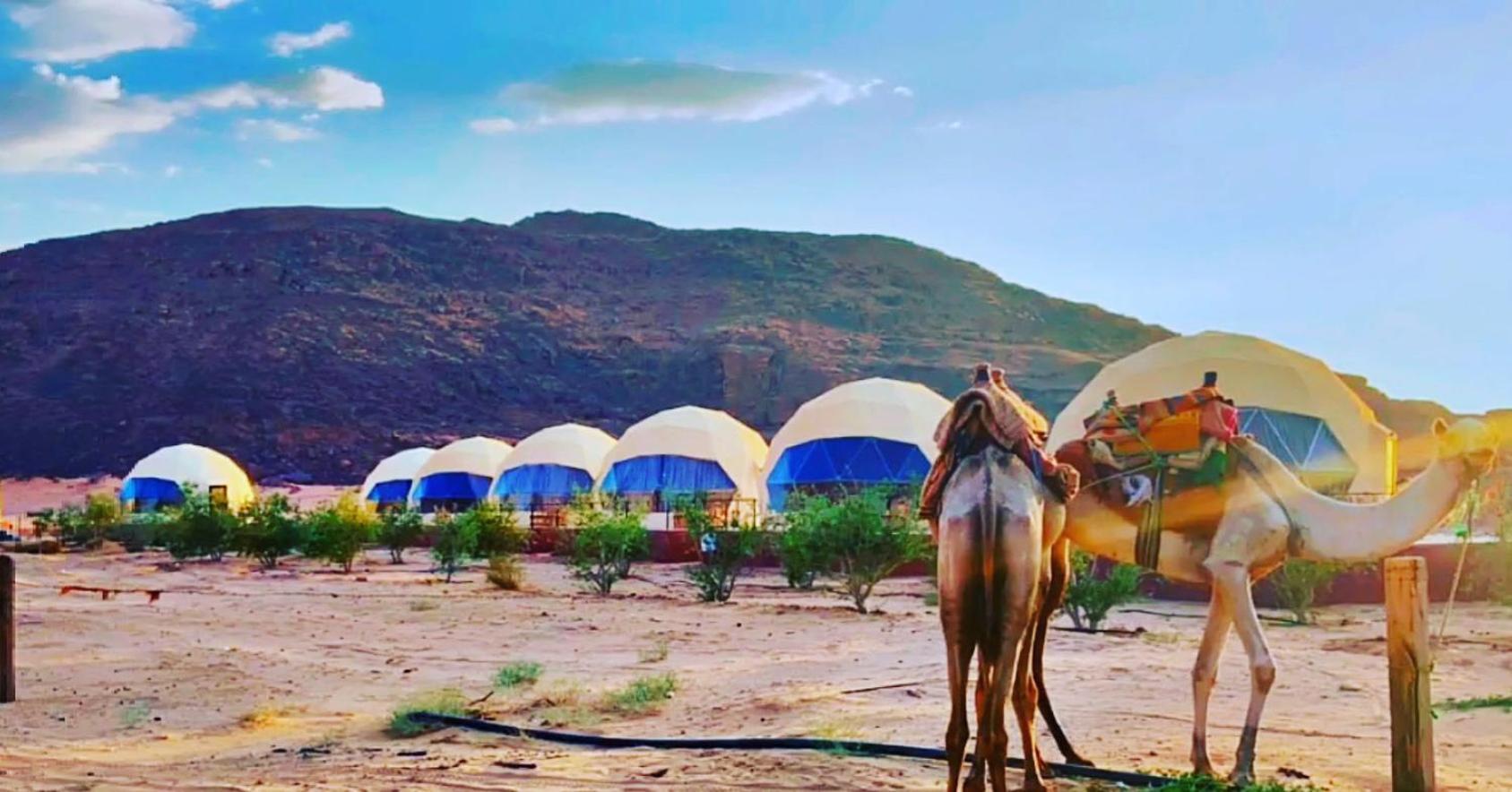 Adel Rum Camp Bubbles Wadi Rum Buitenkant foto
